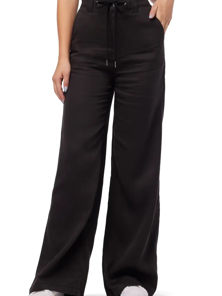 Hudson High Waist Tie Front Wide-Leg Pants